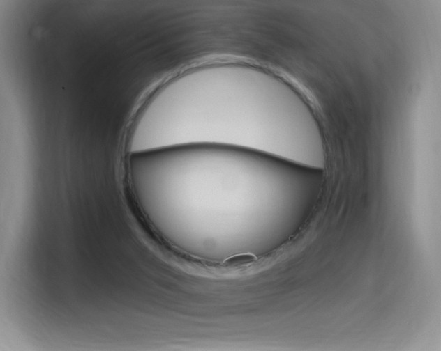 X0000114730015200910211112