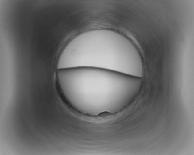 X0000114730019200910211112