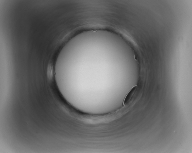 X0000114730021200910211112