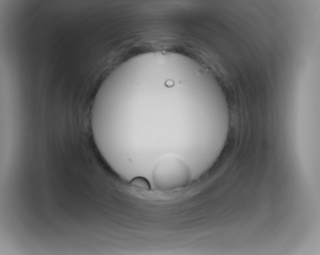 X0000114730030200910211112