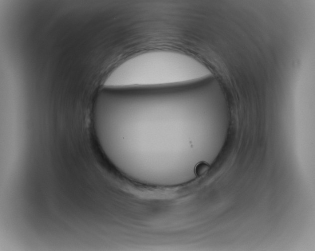 X0000114730032200910211112