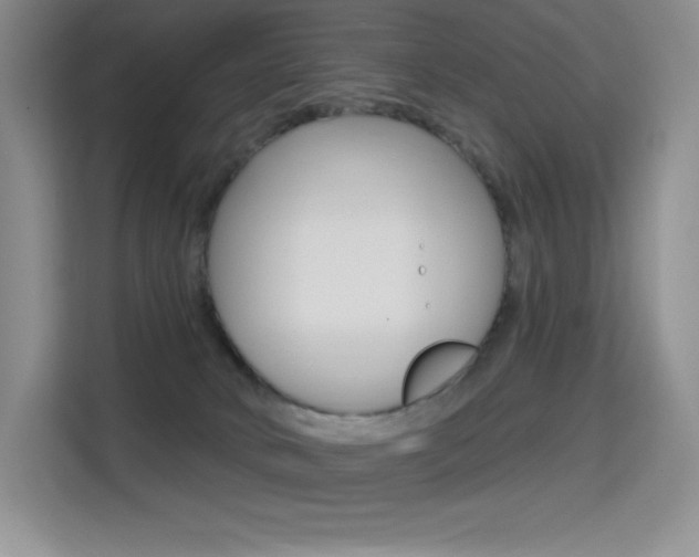 X0000114730034200910211111