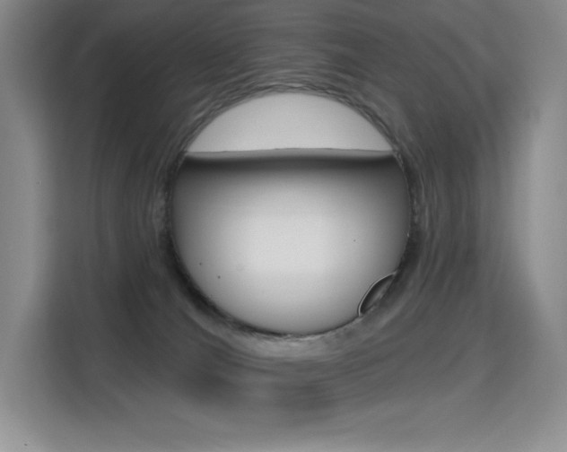 X0000114730036200910211111