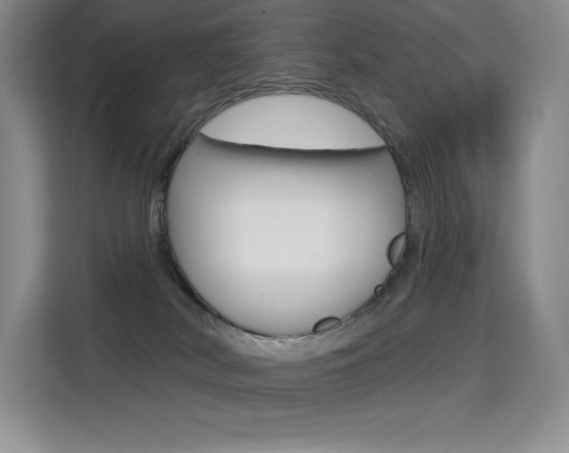 X0000114730038200910211111