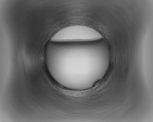 X0000114730040200910211111