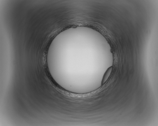 X0000114730043200910211111