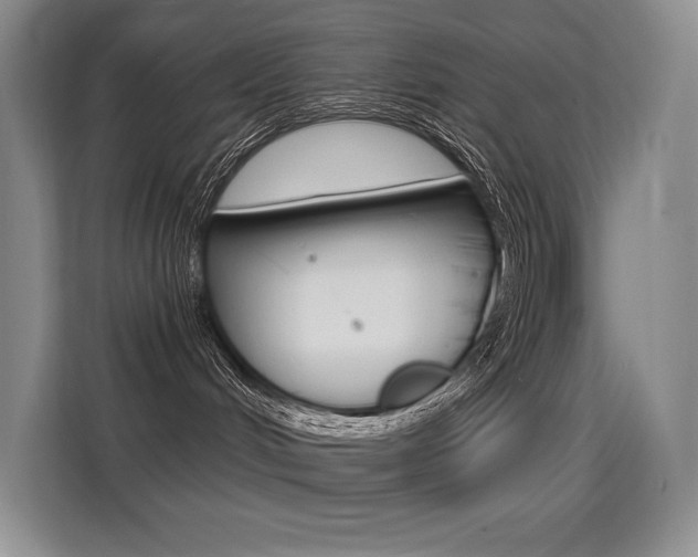 X0000114730048200910211111