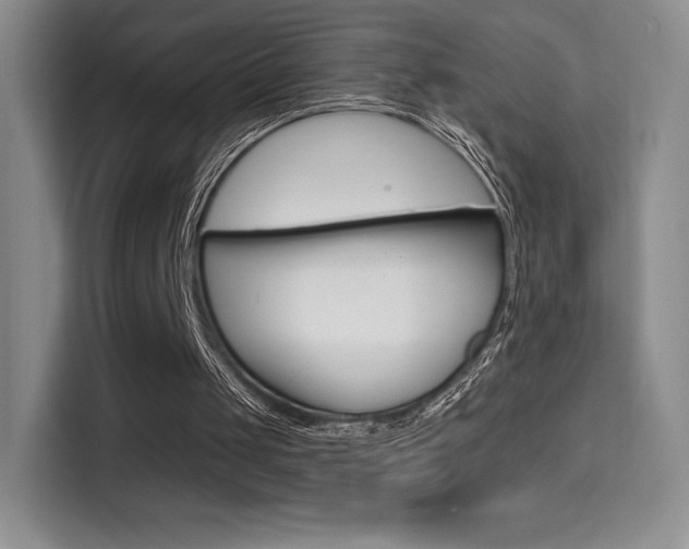 X0000114730049200910211111