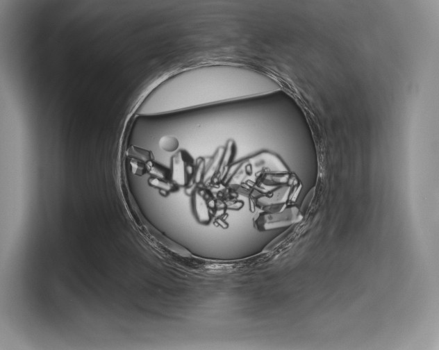 X0000114730052200910211111