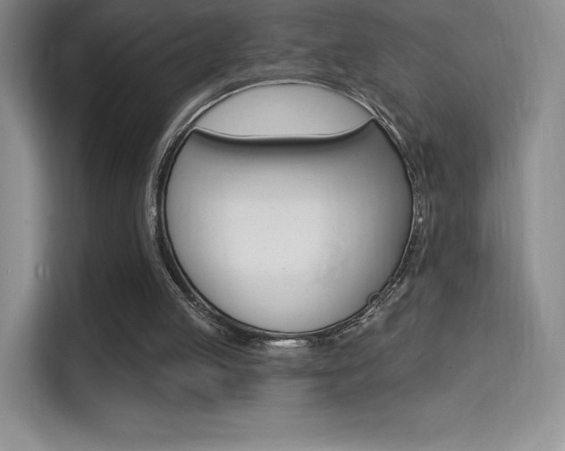 X0000114730053200910211111