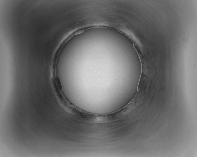 X0000114730060200910211111