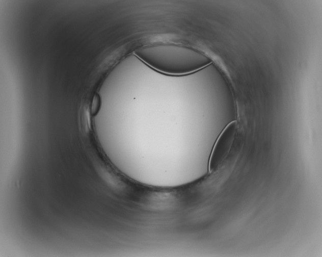 X0000114730061200910211111