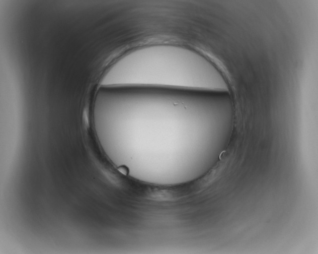 X0000114730062200910211111