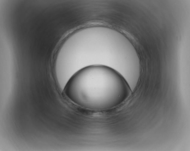 X0000114730064200910211111
