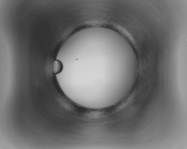 X0000114730065200910211111