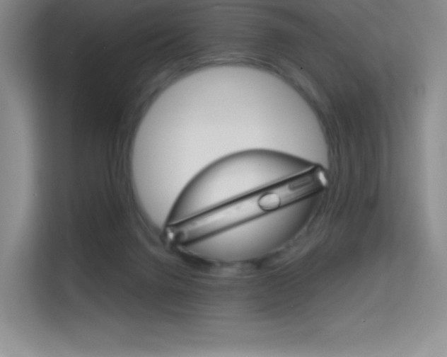 X0000114730072200910211111