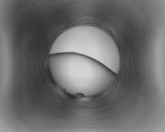 X0000114730081200910211111