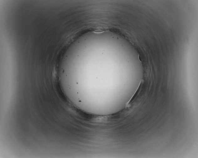 X0000114730084200910211111