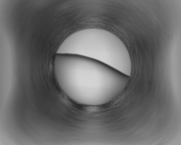X0000114730085200910211111