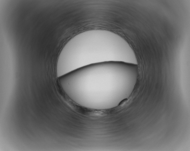 X0000114730086200910211111