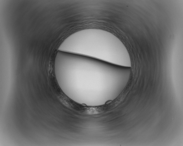 X0000114730091200910211111