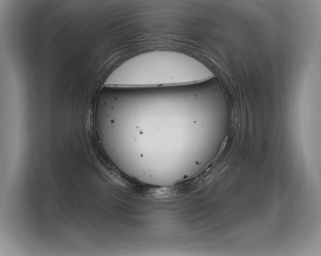 X0000114730092200910211111