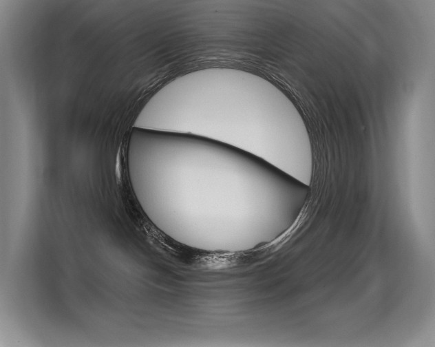 X0000114730094200910211111