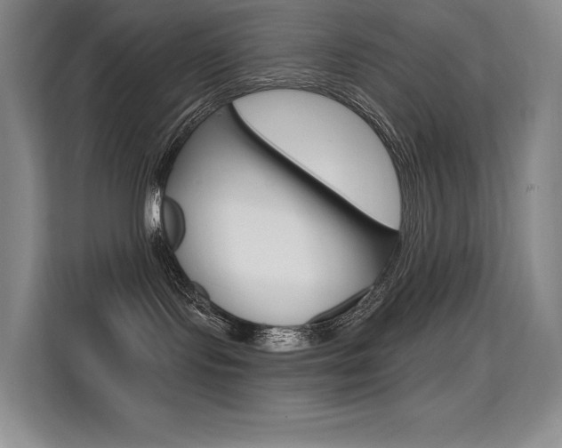 X0000114730095200910211111