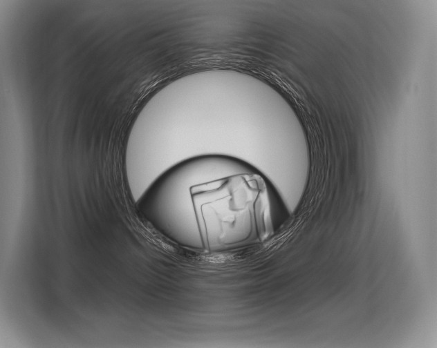 X0000114730096200910211111
