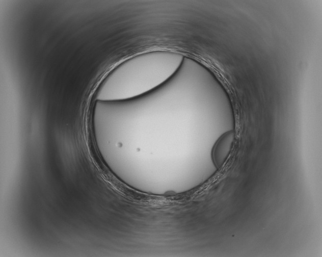 X0000114730098200910211111