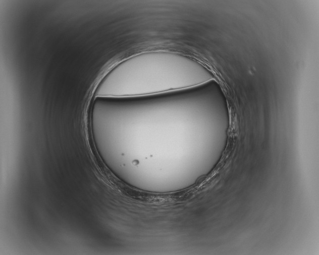 X0000114730099200910211111