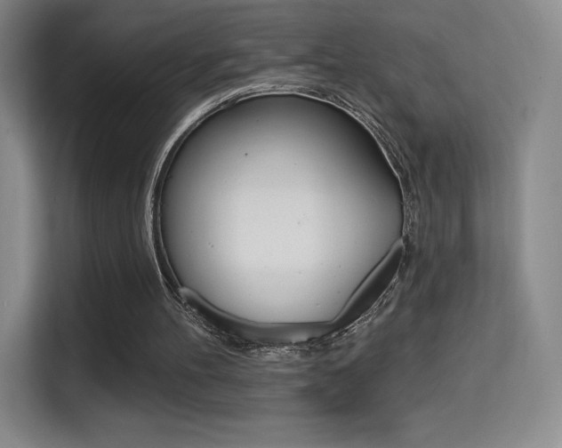 X0000114730100200910211111