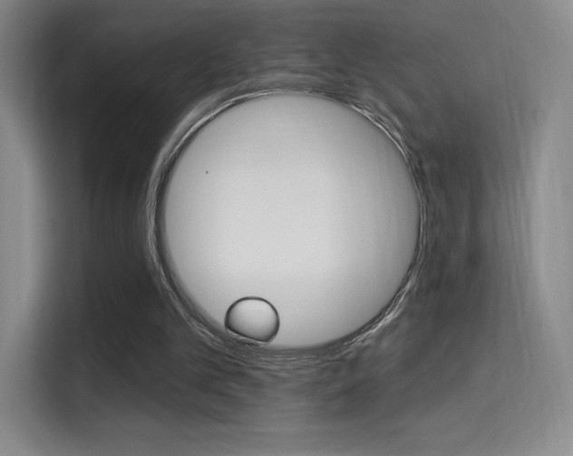 X0000114730101200910211111