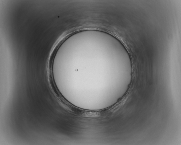 X0000114730102200910211111