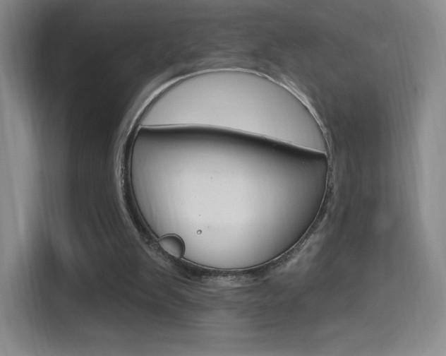 X0000114730103200910211111