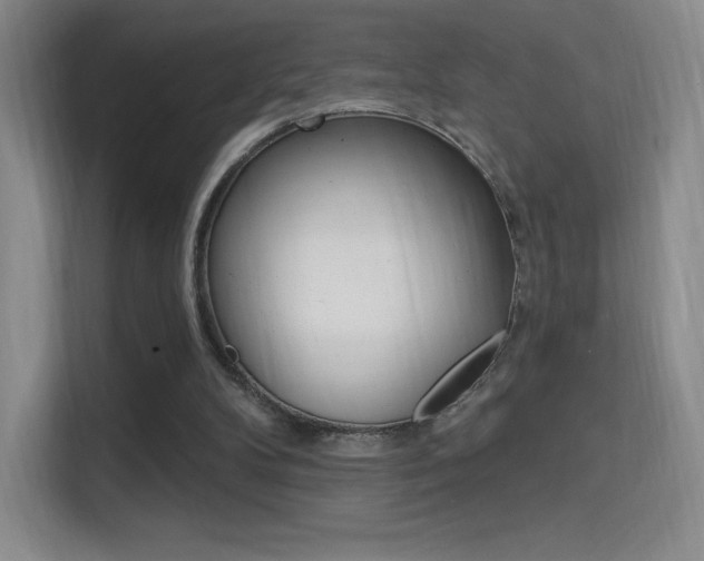 X0000114730104200910211111