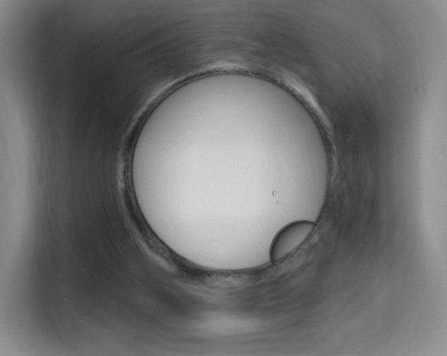 X0000114730106200910211111