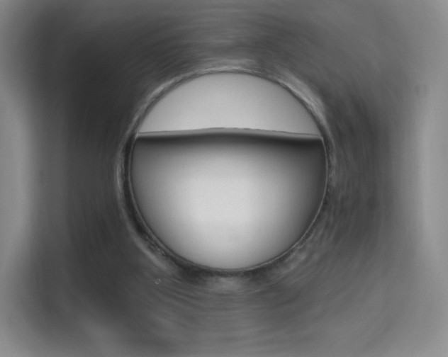 X0000114730107200910211111
