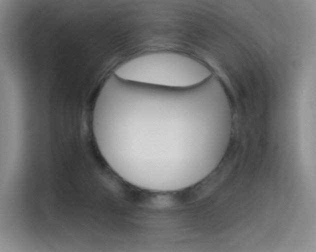 X0000114730114200910211110