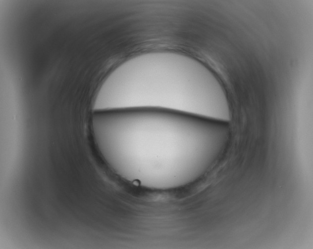 X0000114730115200910211110