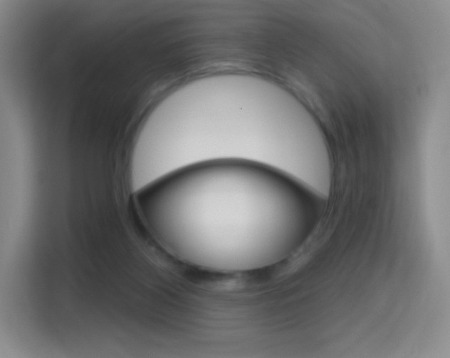 X0000114730116200910211110