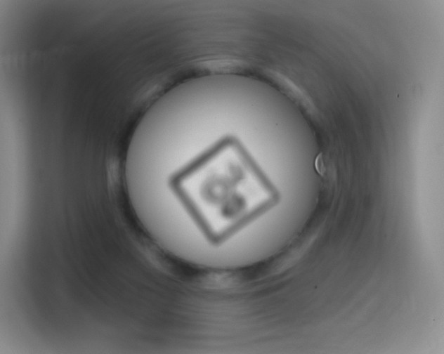 X0000114730117200910211110
