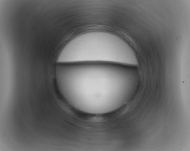 X0000114730119200910211110