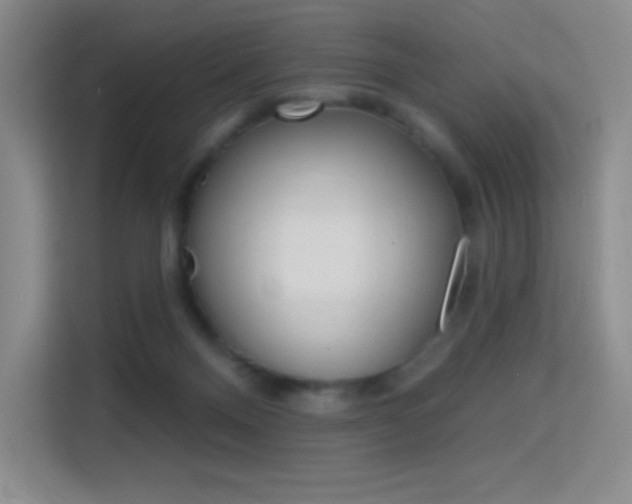 X0000114730120200910211110