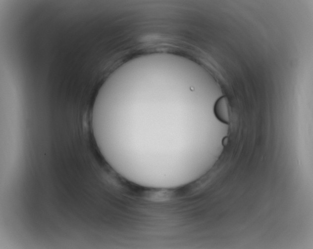 X0000114730122200910211110