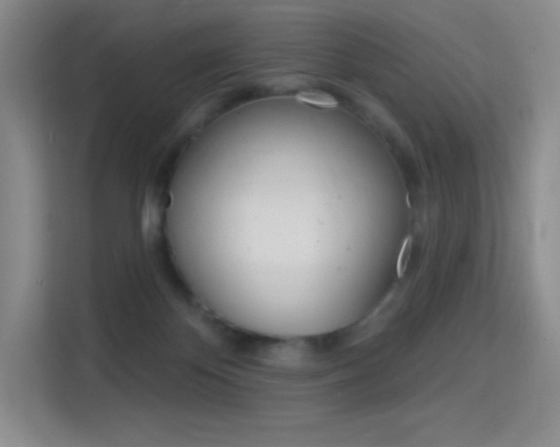 X0000114730124200910211110