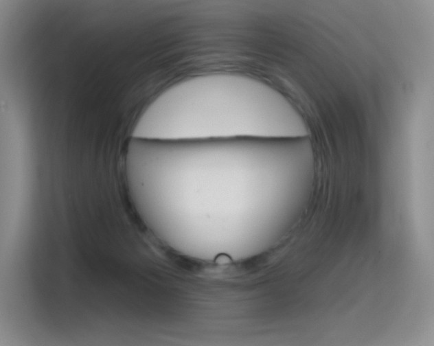 X0000114730125200910211110