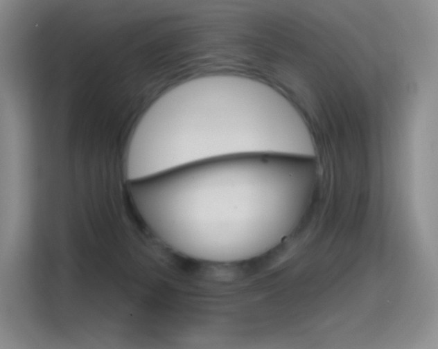 X0000114730127200910211110