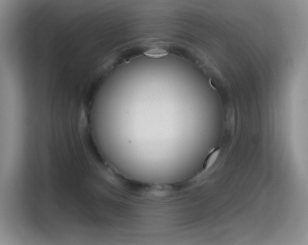 X0000114730128200910211110