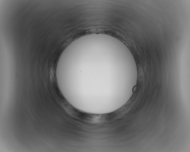 X0000114730130200910211110